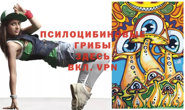 прущая мука Михайлов