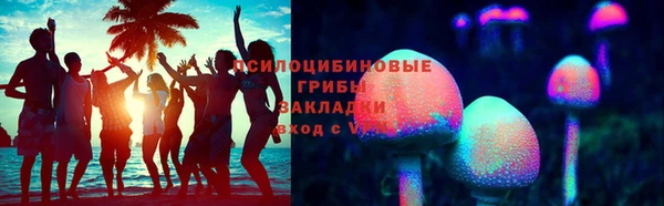 прущая мука Михайлов