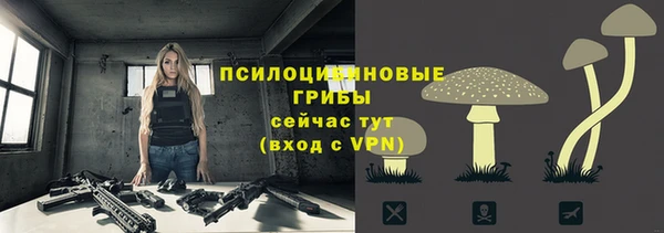 прущая мука Михайлов